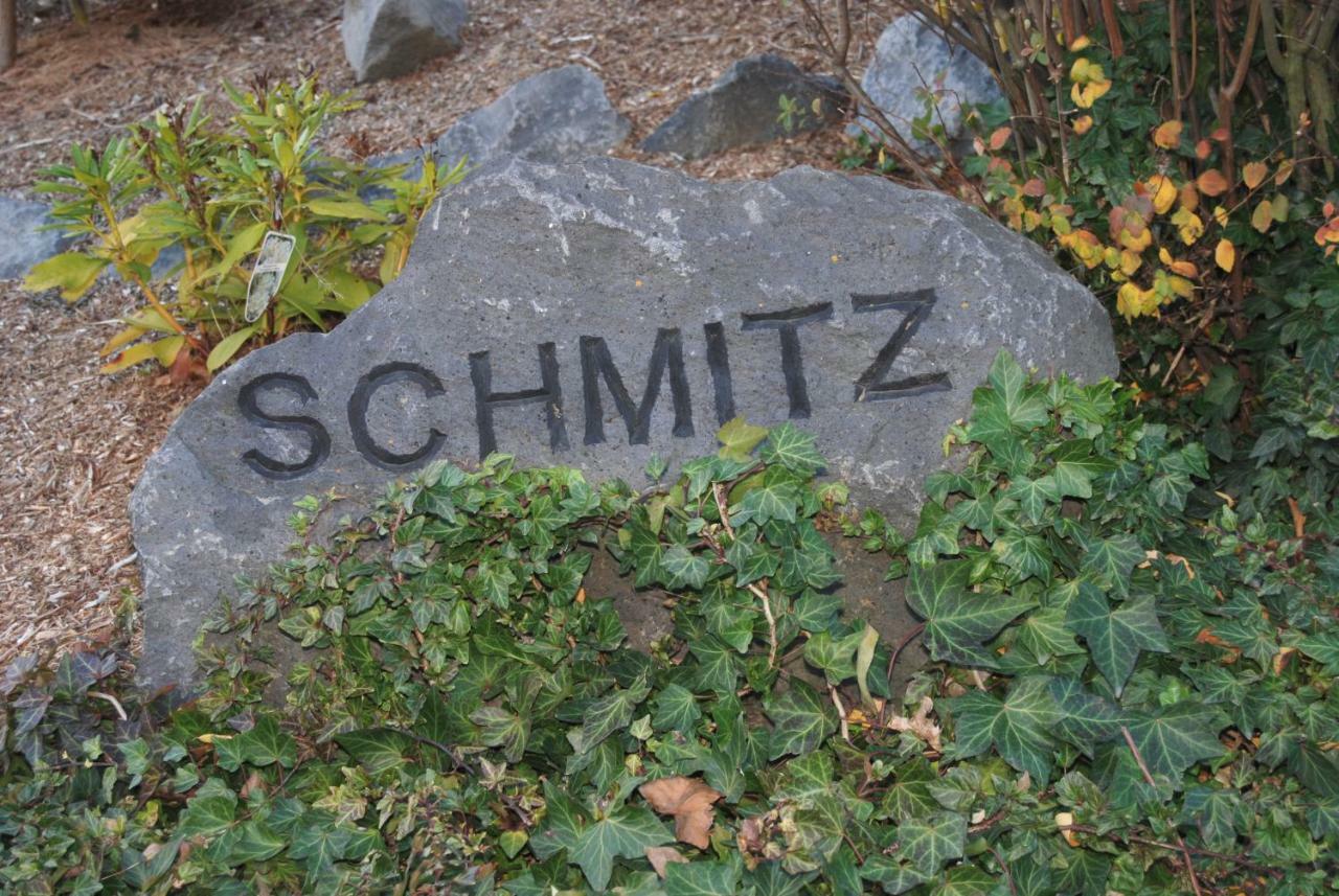 Ferienwohnung Schmitz Anschau エクステリア 写真